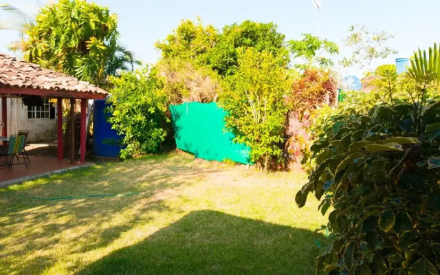 Lilo's Panamá