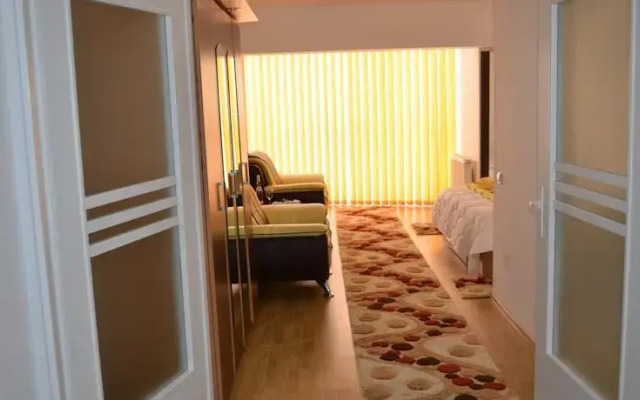 Central House Apartments Bacau