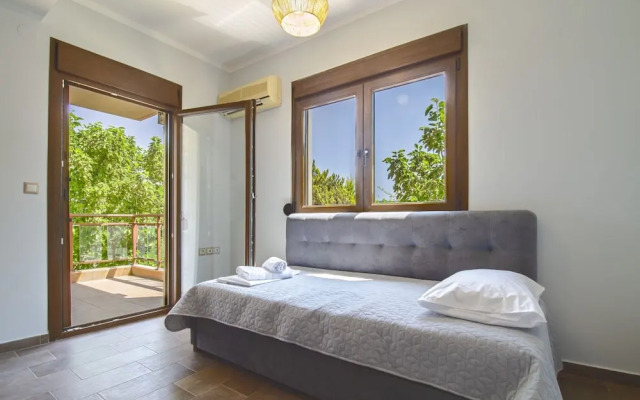 Penny Toroneus Edge by Rentalspro - Anioti