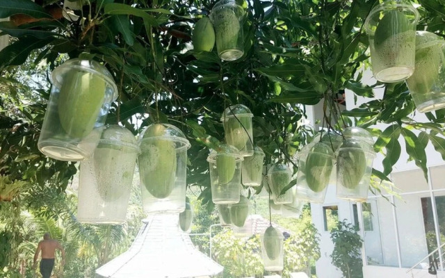 Villa Alderley With Mountain & Big Buddha Views