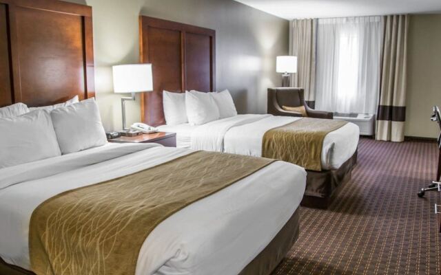 Comfort Inn & Suites Riverview