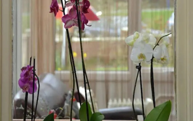 Ormonde House Hotel