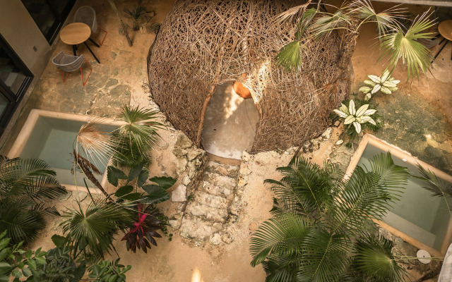 Naj Tulum