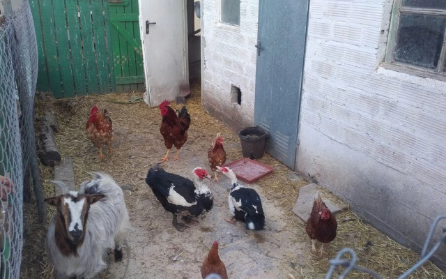 Casa Pintoresca con espacios y piscina