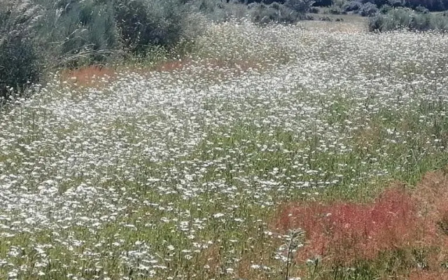 Tapada da Rabela -Turismo e Reserva Natural Privada