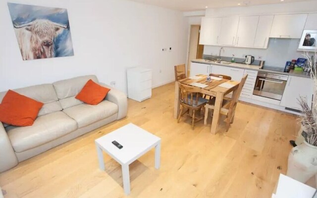 Modern City Apartment