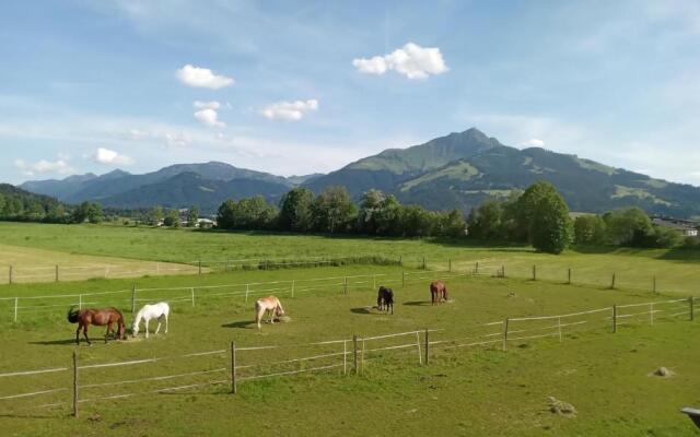 Apartment-Pension Schmiedererhof