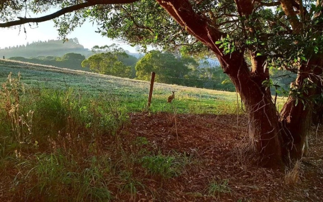 Yungaburra Lodge