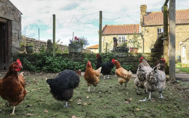 Church Farm Annex