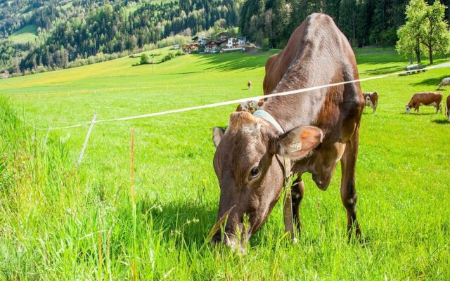 Spacious Holiday Home in Fugenberg With Sauna