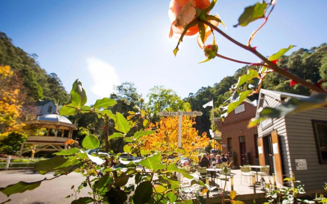 Walhalla's Star Hotel