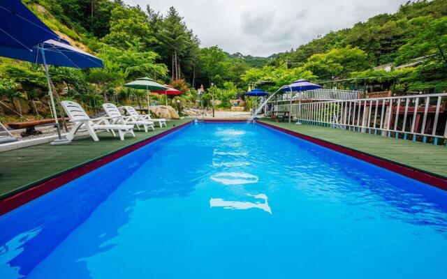 Love and story pension