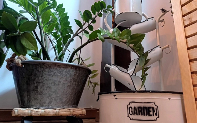 Urban Zen Den 2 Room Condo