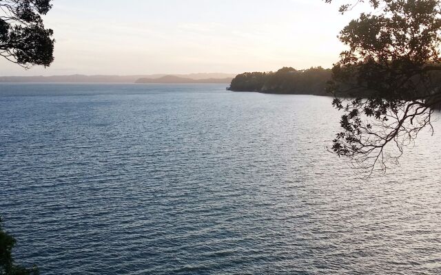 Auckland Clifftop