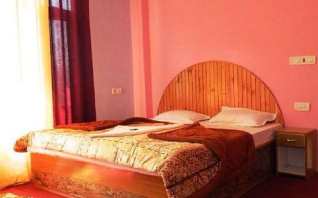 kingston manali hotel