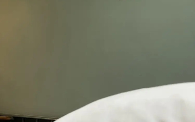 The Plume of Feathers