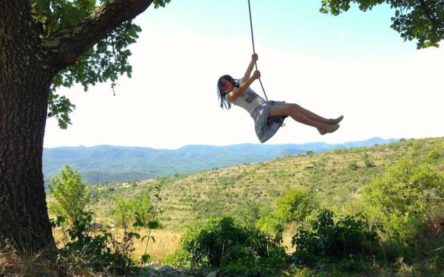 Wild Boar Mountain - France
