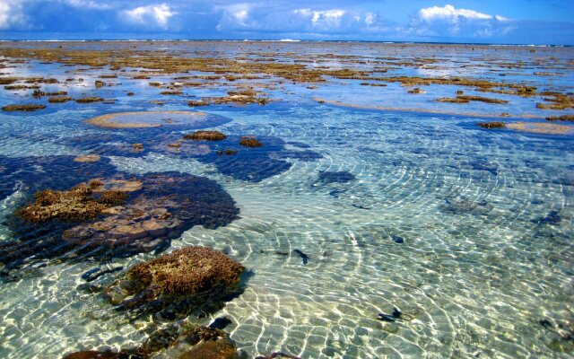 Flashpackers Hervey Bay Hostel