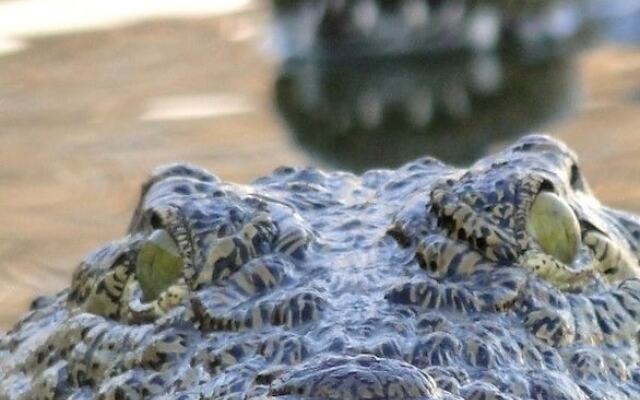 Umndini Safari Resort & Venue