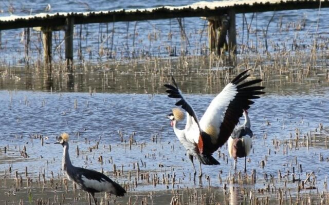 Beacon Vlei Guest Farm