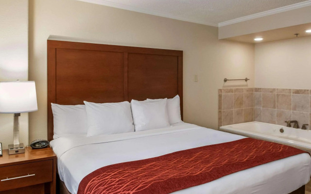 Comfort Inn & Suites At Copeland Tower