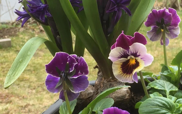 Casino Islands Getaway