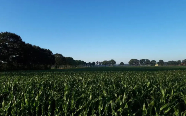 Cozy Holiday Home with Garden near Zwolle