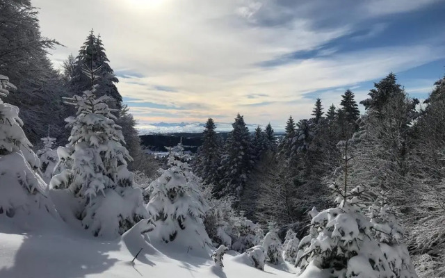 Appartement Mont-Dore, 2 pièces, 4 personnes - FR-1-608-68