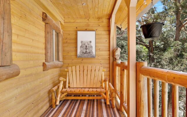 Polar Plunge BIG Bear #2031