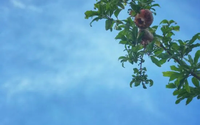 Youmi Xiaozhu Guesthouse