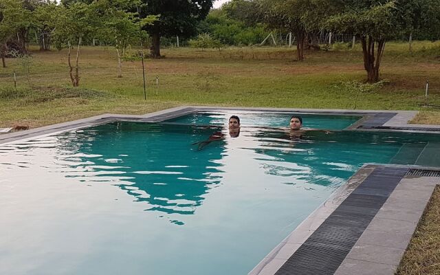 The Elephant Pass Yala