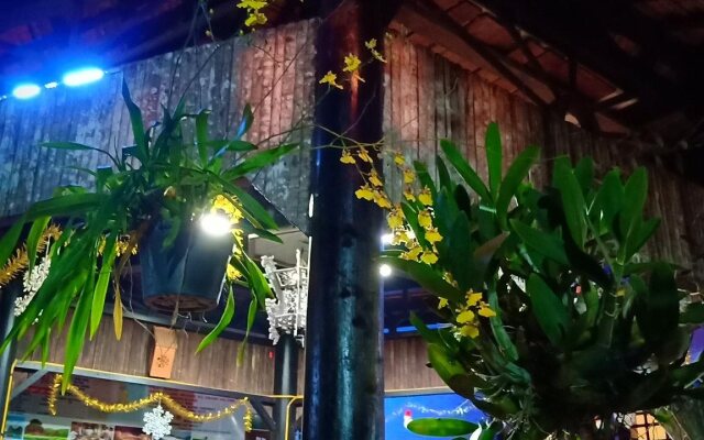 Terra Cotta Homestay and Hostel
