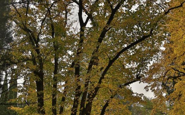 Tsinandali Museum Guest House