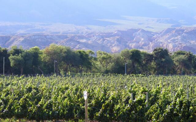 La Casa De La Bodega - Wine Boutique Hotel