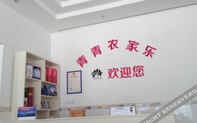 Qing Qing njl
