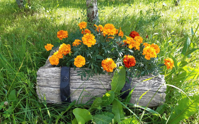 Дом в деревне Чернокуново