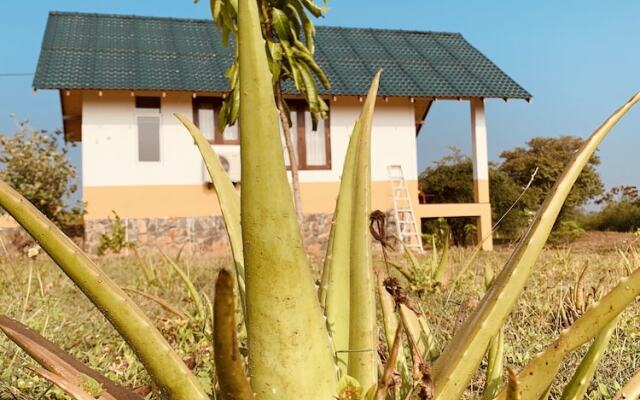 thihawa eco huts yala