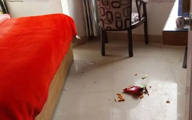 Iris Gellasenheit  Jasmine II