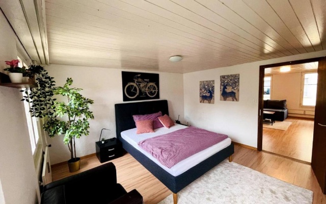 Newly Furnished Beautiful old Building Apartment in the Center With Apple TV – Guest Rooms – St. Gallen