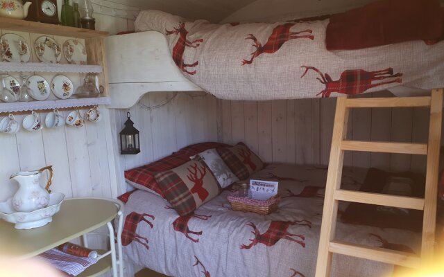 Meadow Shepherds hut