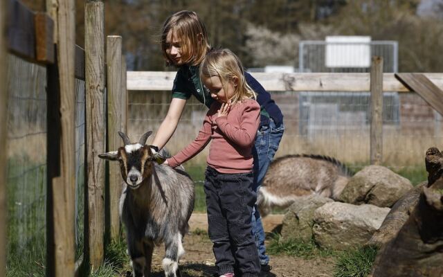 Pederstrup Bed and Breakfast