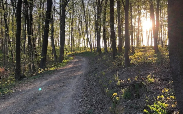 Harzhotel Güntersberge - Adult Only