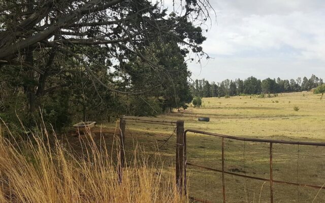 The Fat Mulberry Guesthouse