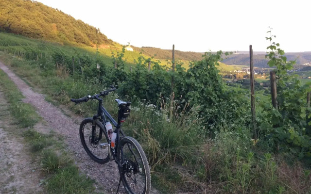 FeWo Freis in Brauneberg