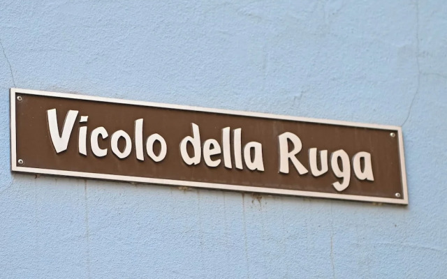 Ruga House in Lake Ascona 4