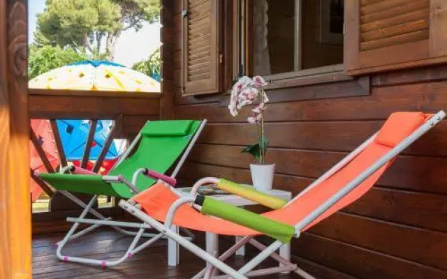 B&B Sportive