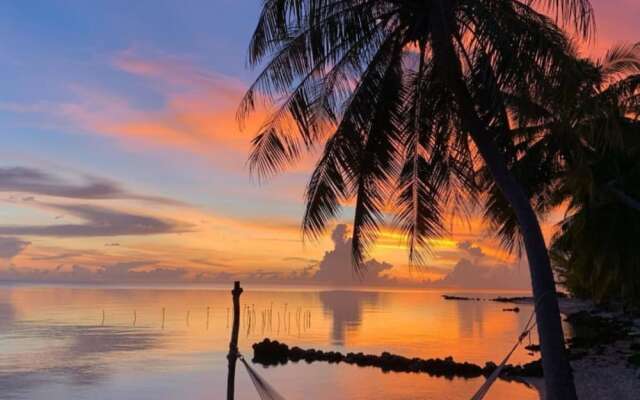 Le Coconut Lodge