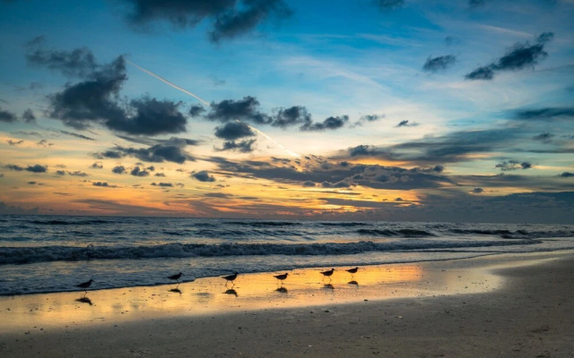 Indian Sand D2 by Vtrips