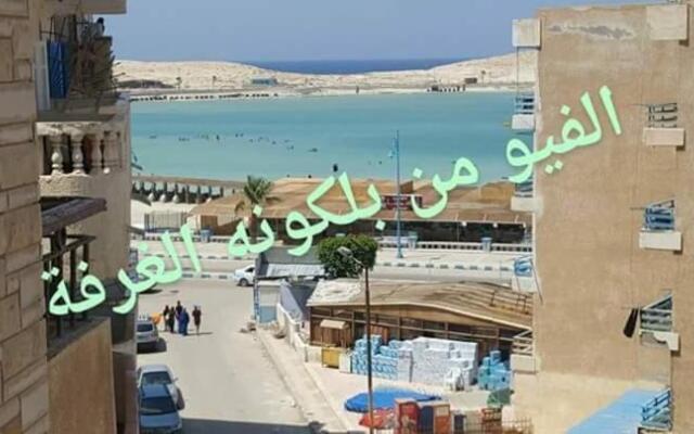 ريحانة