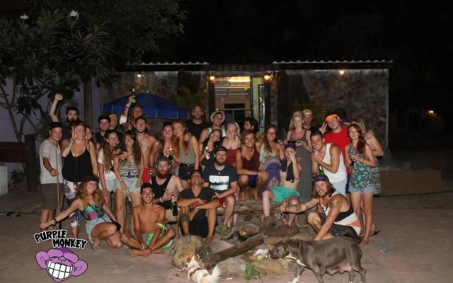 Purple Monkey Backpackers